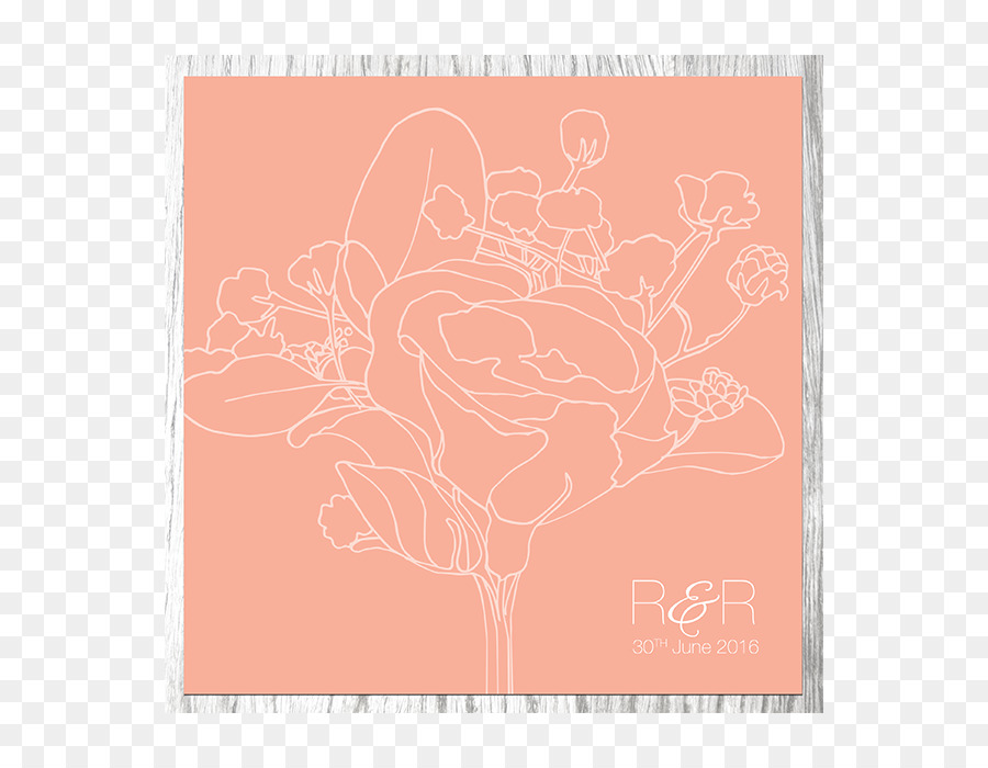 Papel，Rosa M PNG