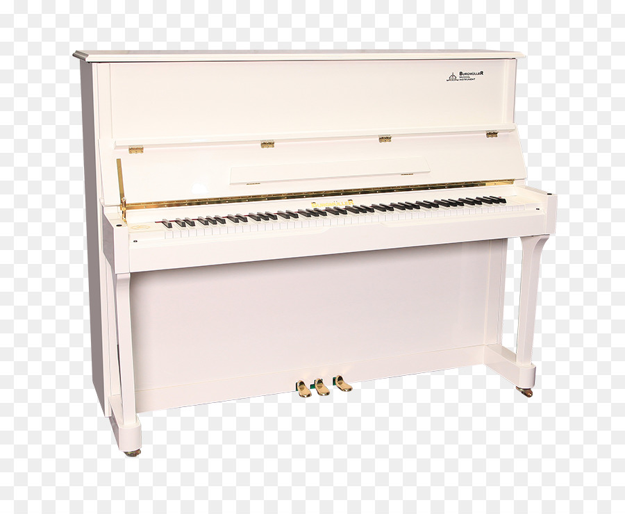 Piano，Música PNG