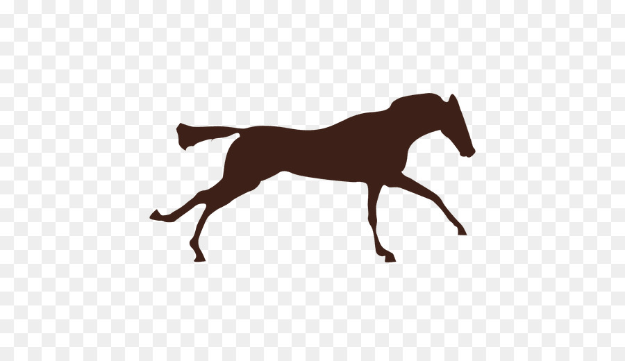 Cavalo Preto，Cavalo PNG