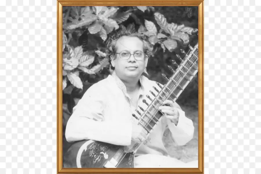 Arrancado De Instrumentos De Corda，Sitar PNG