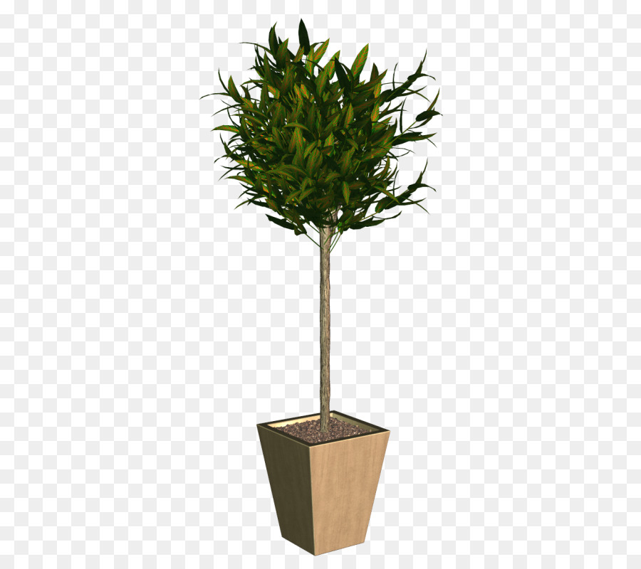 Treelet，árvore PNG