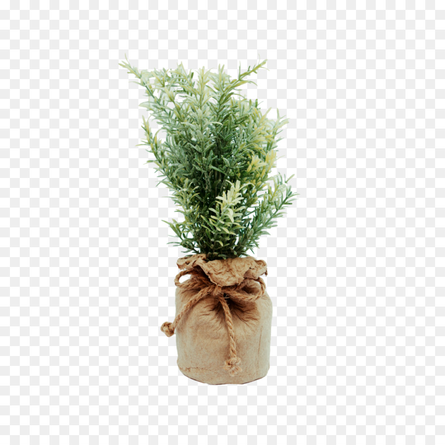 Flowerpot，Planta PNG