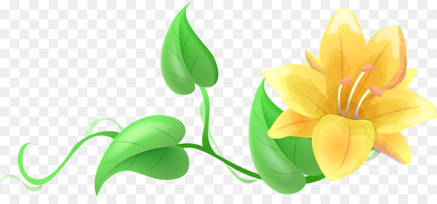 Flores Amarelas E Vinhas Verdes，Vinhas PNG