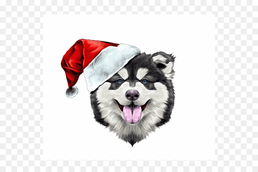 Alaskan Malamute，Alaskan Husky PNG