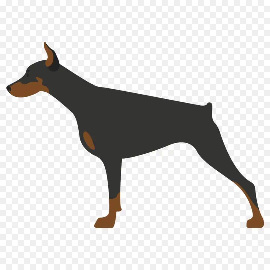 Dobermann，Alemão Pinscher PNG