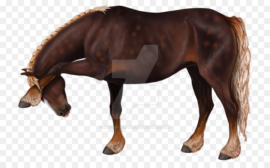 Cavalo Marrom，Potro PNG