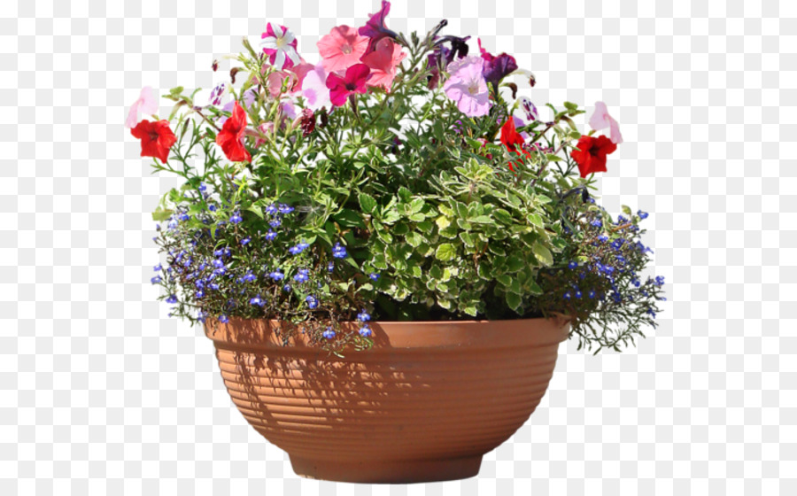 Luz，Flowerpot PNG