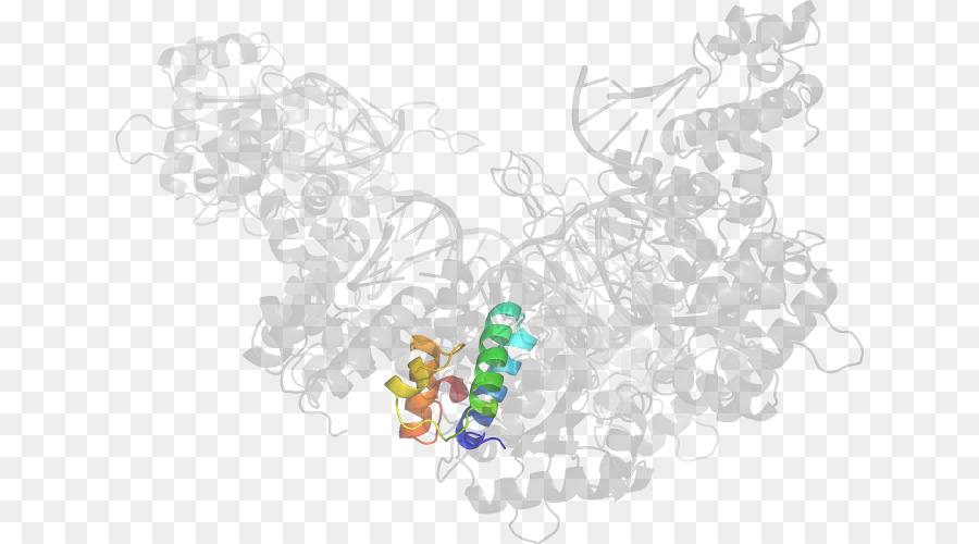 Estrutura Proteica，Molécula PNG