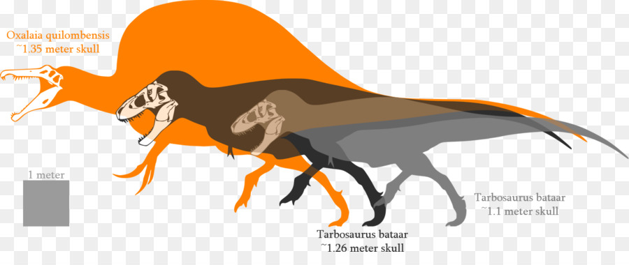 Tiranossauro，Tarbosaurus PNG