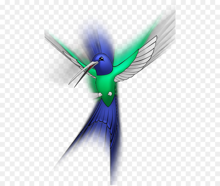 Ilustra O De Beija Flor，Natureza PNG