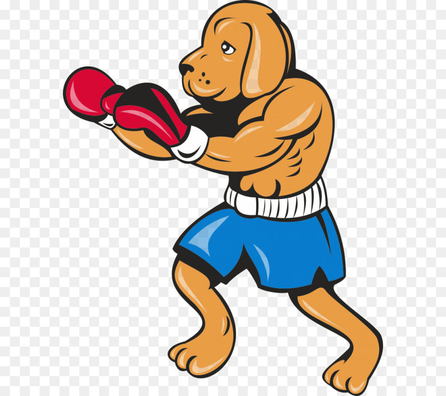 Boxe，Luva De Boxe PNG