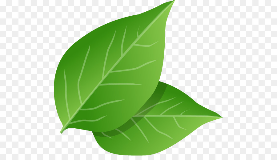 Folhas Verdes，Plantar PNG