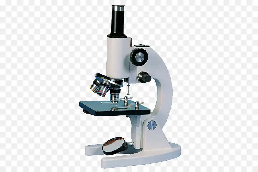 Microscópio，Célula PNG