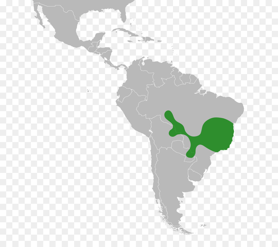 Mapa Da América Do Sul，Continente PNG