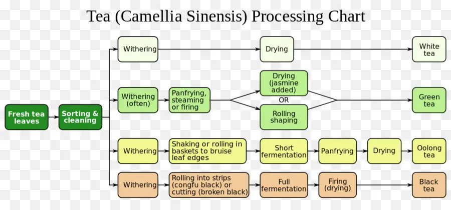 Gráfico De Processamento De Chá，Chá PNG