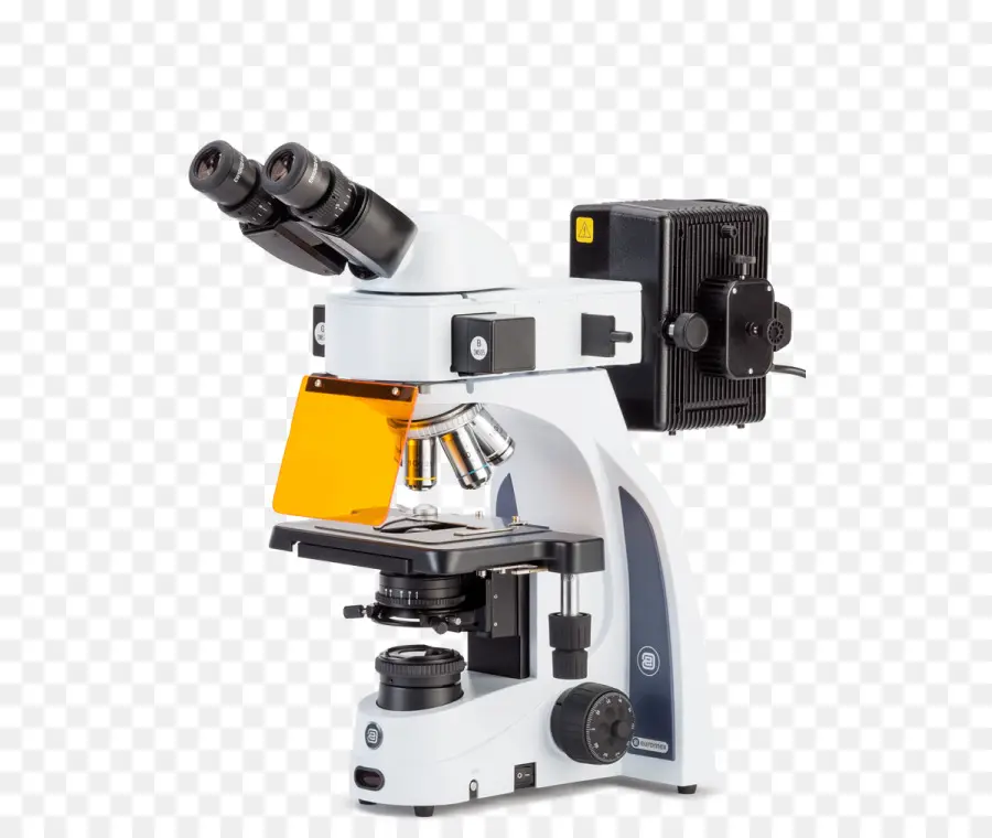 Microscópio，Microscópio De Fluorescência PNG