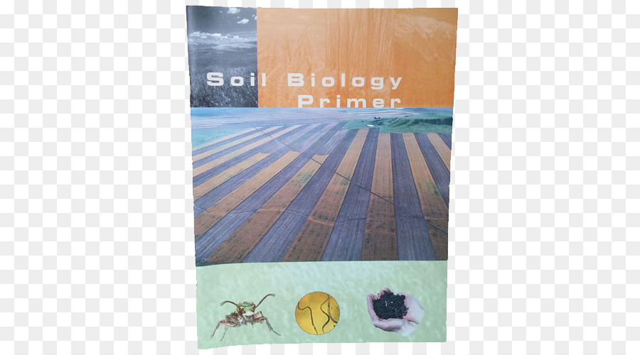 Solo Biologia，Soil PNG