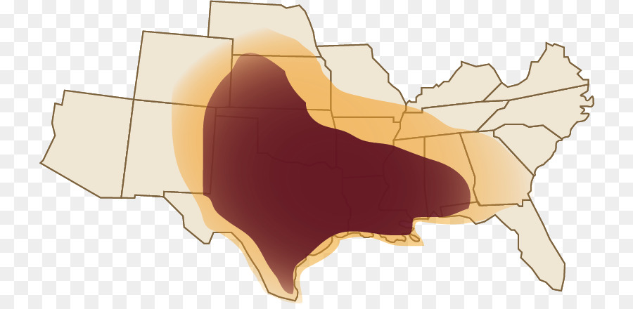 Mapa De Calor，Temperatura PNG