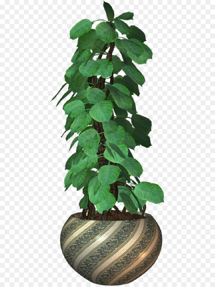 Flowerpot，Planta PNG