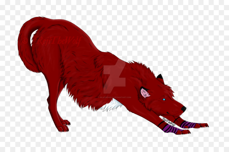 Canidae，Cão PNG