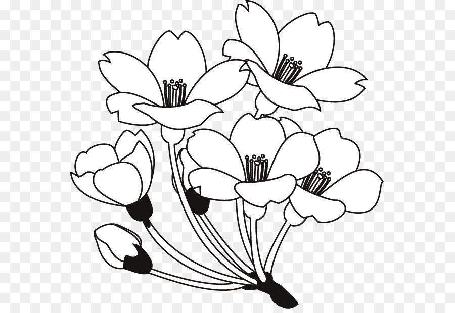 Design Floral，Preto E Branco PNG