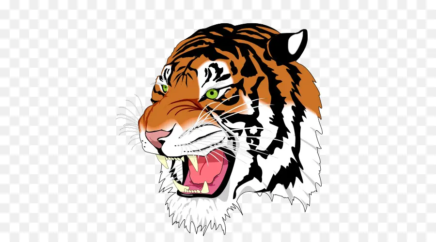 Tigre，Animal PNG