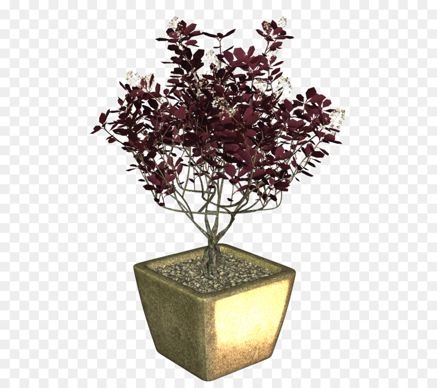 Bonsai，Flowerpot PNG