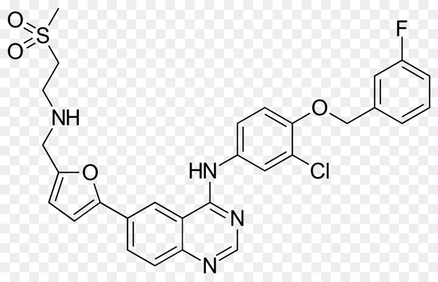 Lapatinib，Receptor De Fator De Crescimento Epidérmico PNG