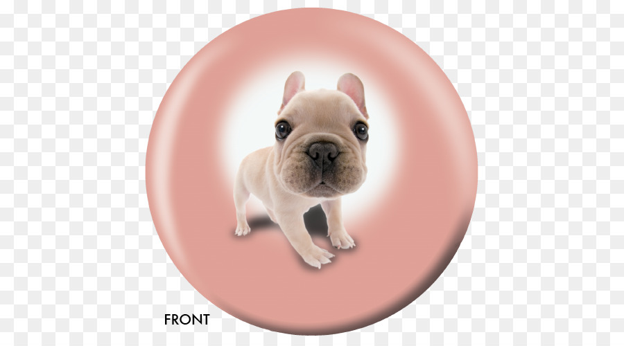 Bulldog Francês，Brinquedo Bulldog PNG