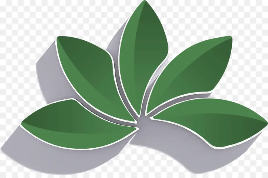 Folhas Verdes，Plantar PNG