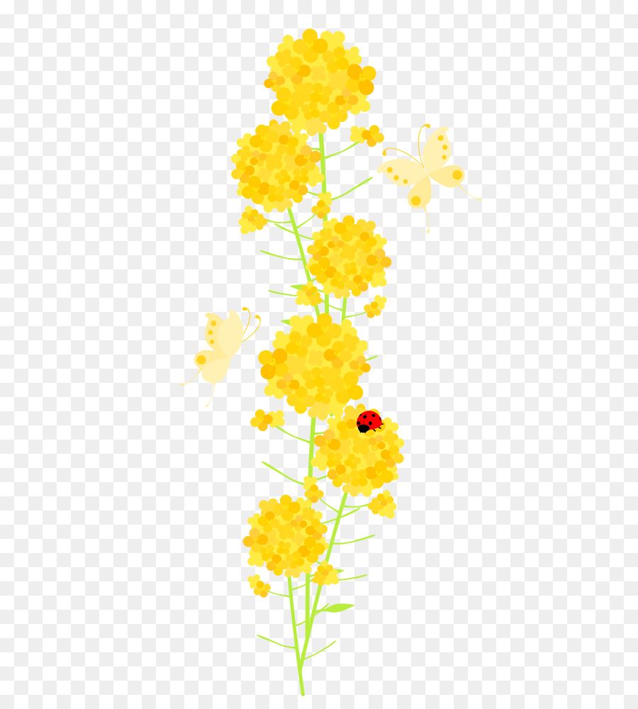 Comum De Girassol，Flores De Corte PNG