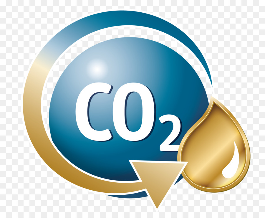 De Carbono Reciclagem Internacional，Investigação PNG