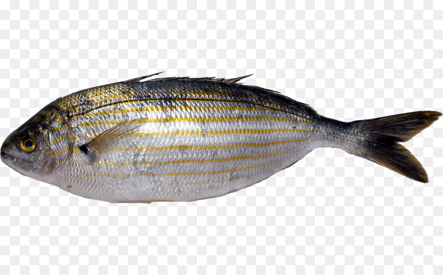 Milkfish，Produtos De Peixe PNG