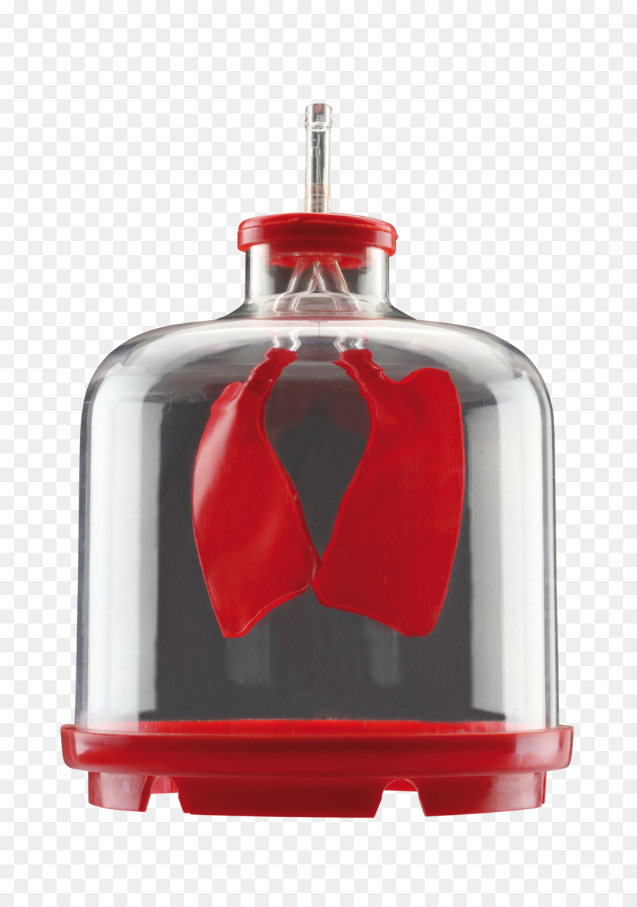 Garrafa，Vermelho PNG