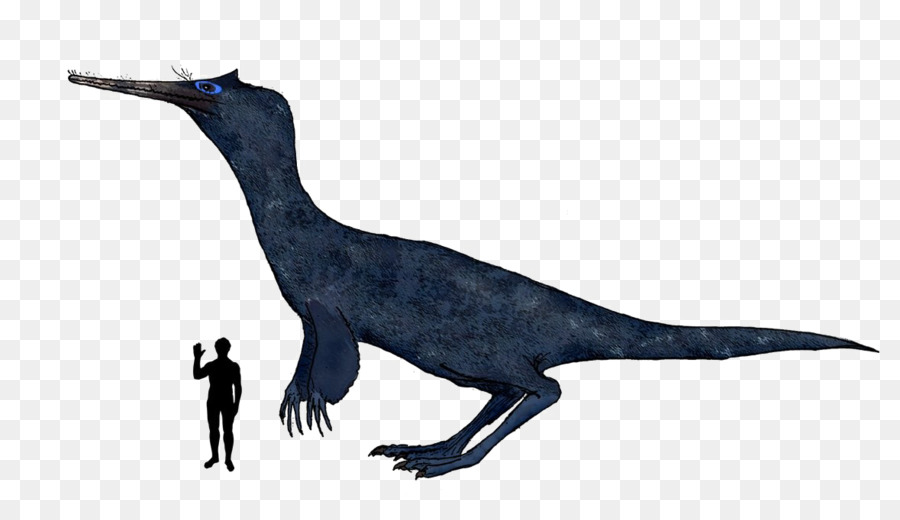 Velociraptor，Dinossauro PNG