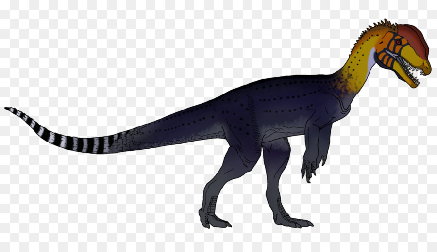 Maiasaura，Dilophosaurus PNG