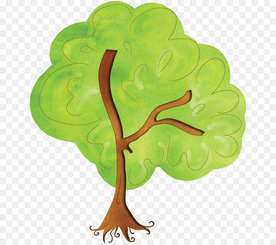 árvore Genealógica，Genealogia PNG
