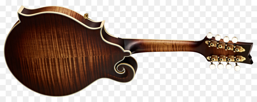 Acousticelectric Guitarra，Guitarra PNG