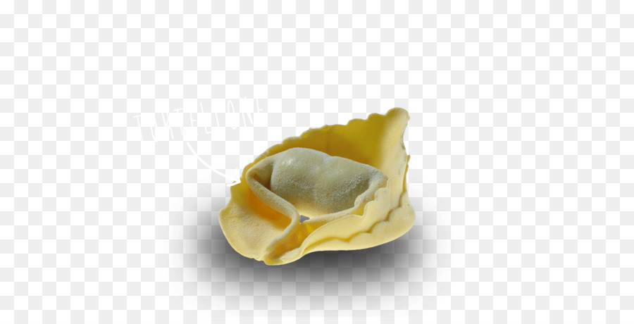 Molusco，Clam PNG