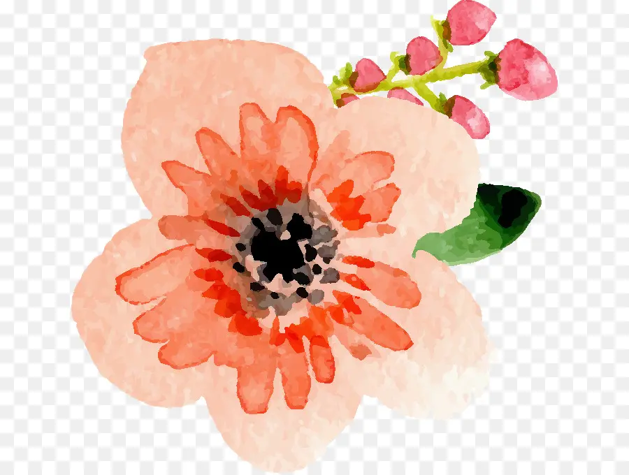 Flor Aquarela，Rosa PNG