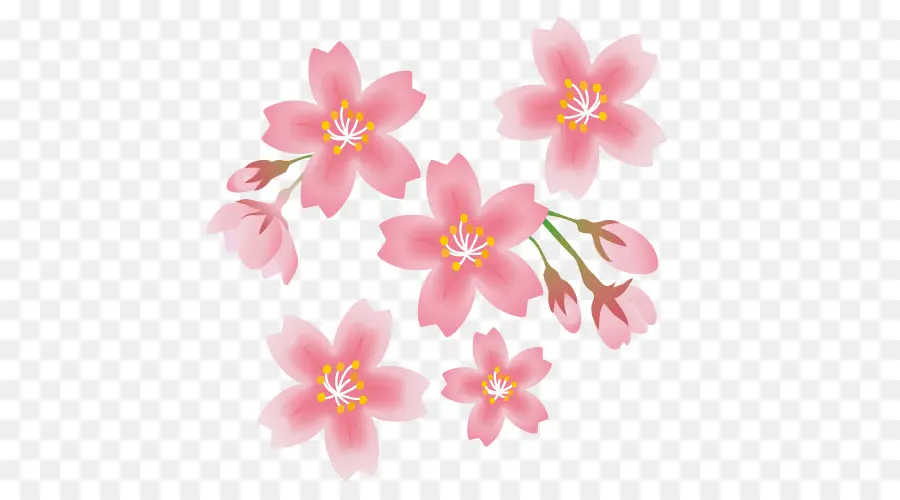 Flor De Cerejeira，Primavera PNG