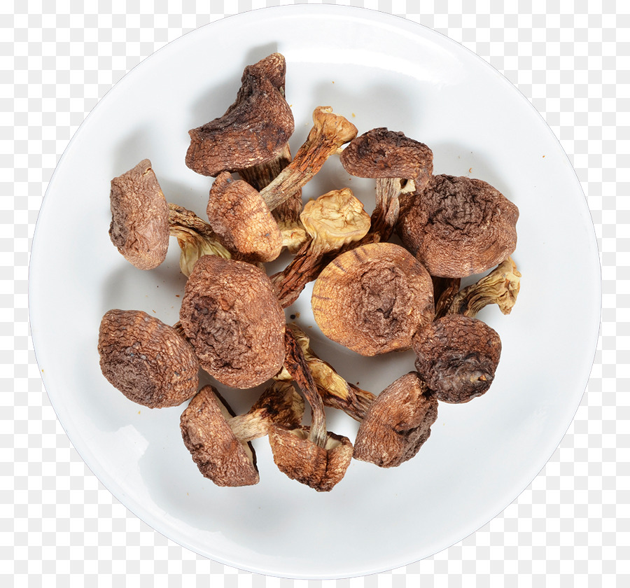 Suplemento Alimentar，Agaricus Subrufescens PNG