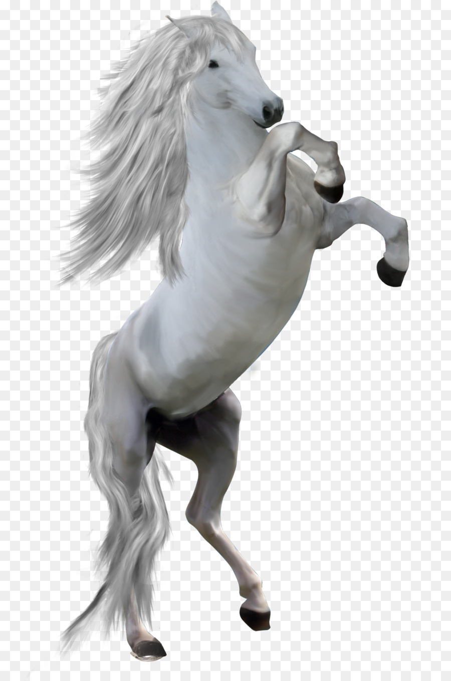 Unicórnio Branco，Fantasia PNG