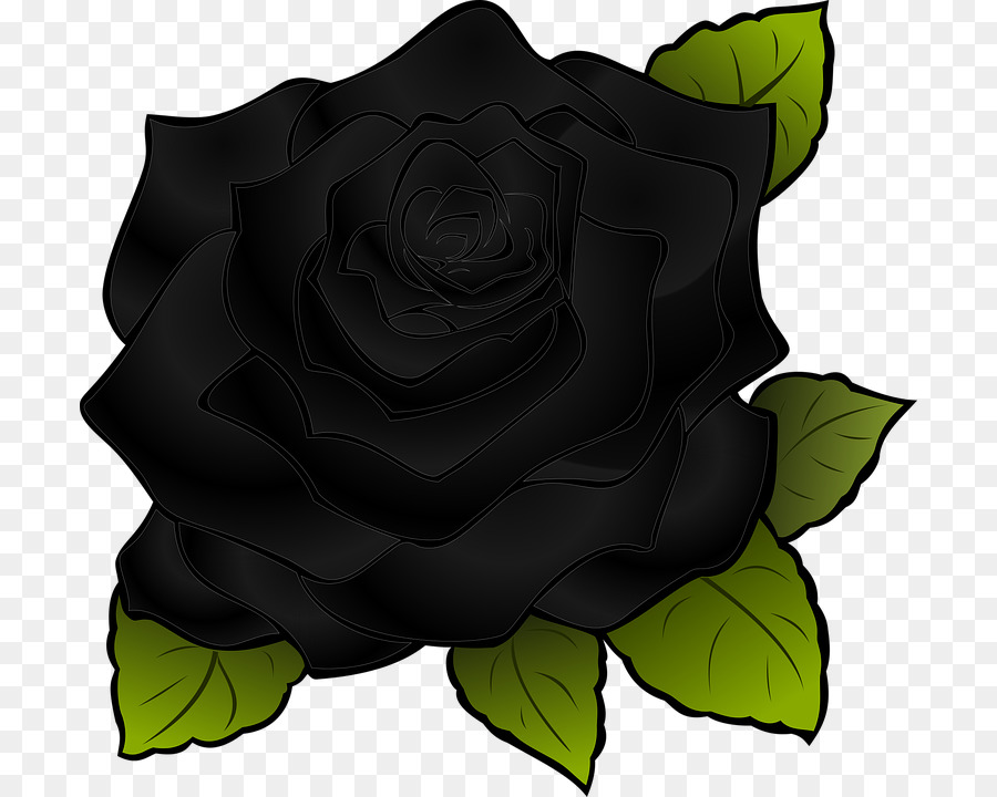 Rosa Negra，Flor PNG