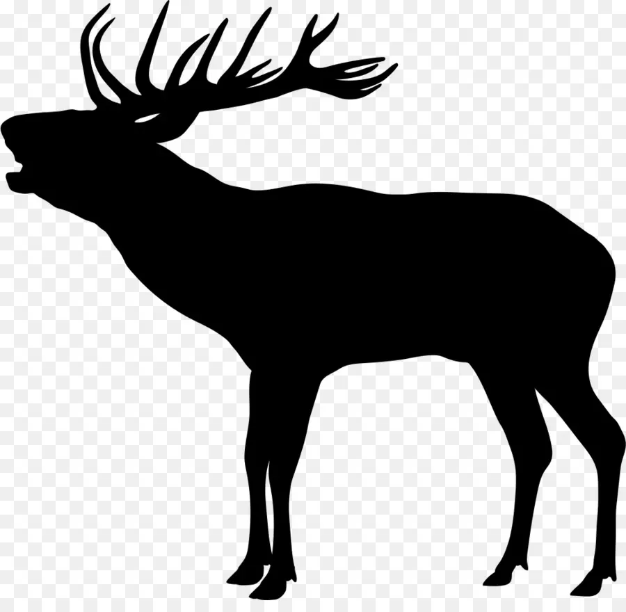 Elk，Funciona PNG