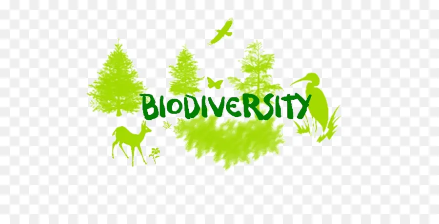 Biodiversidade，A Perda De Biodiversidade PNG