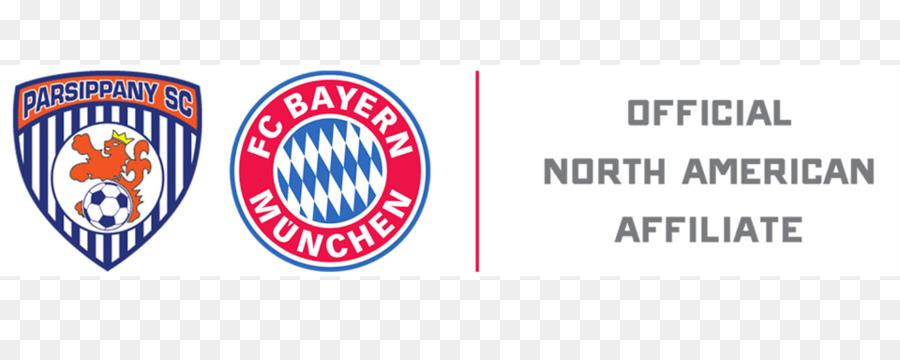 O Fc Bayern De Munique，201718 Uefa Champions League PNG