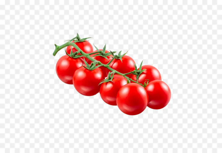 Ameixa Tomate，Bush Tomate PNG