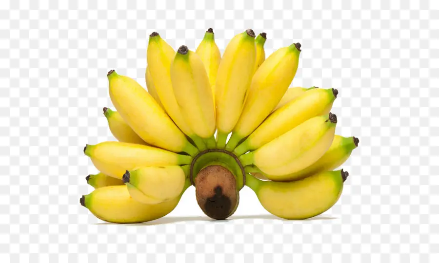 Bananas，Amarelo PNG