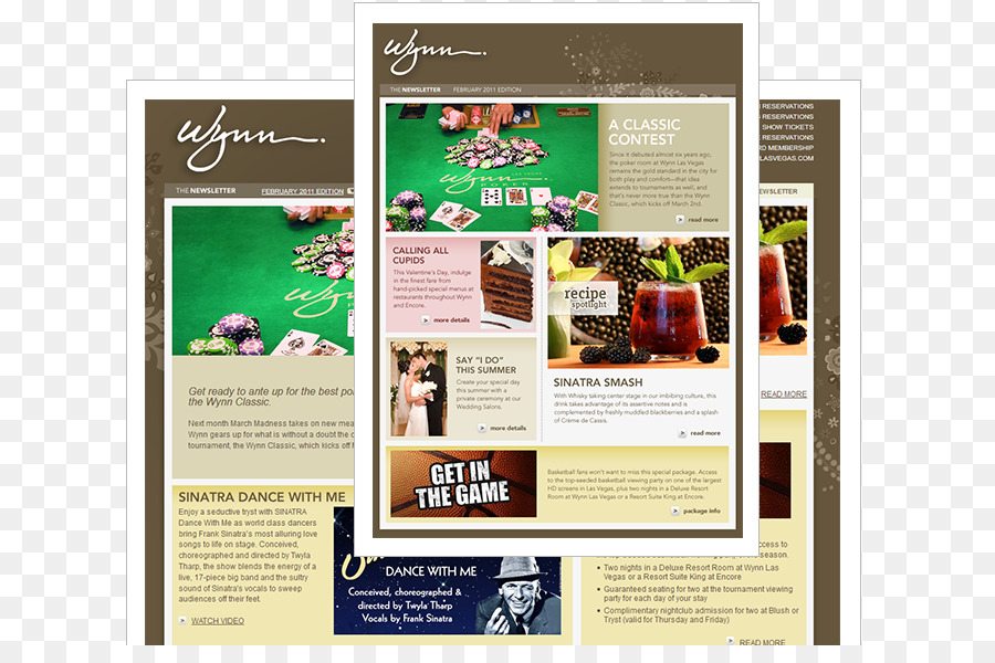 Responsive Web Design，Site De Arame PNG